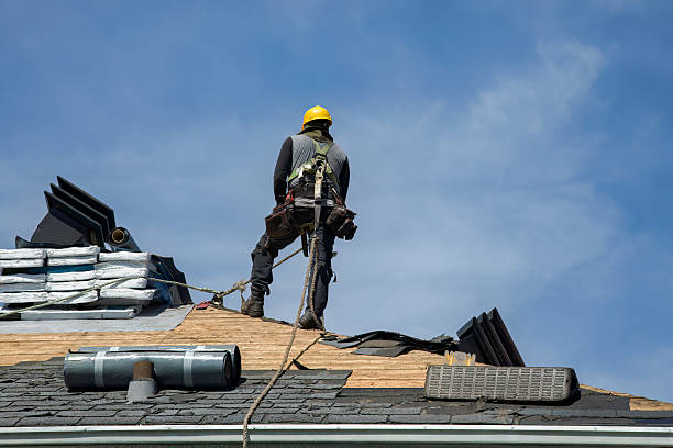 Professional Roofing technician working in Elk Mountain, WY